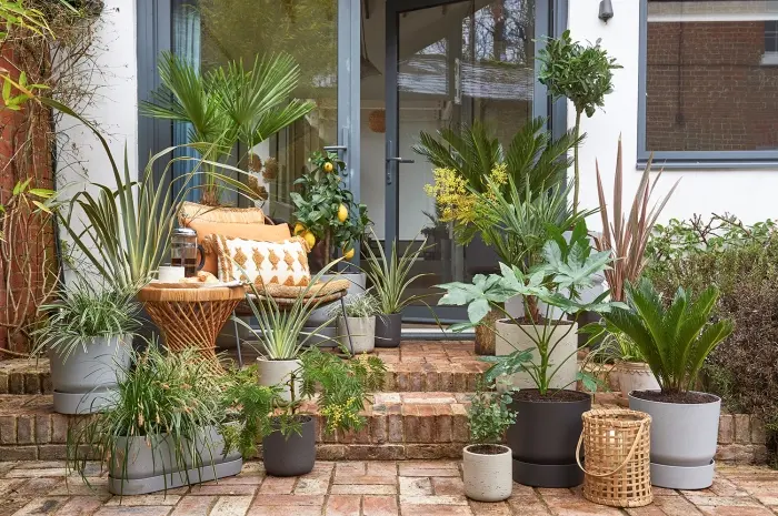 Gardening Design Tips on a Small Budget