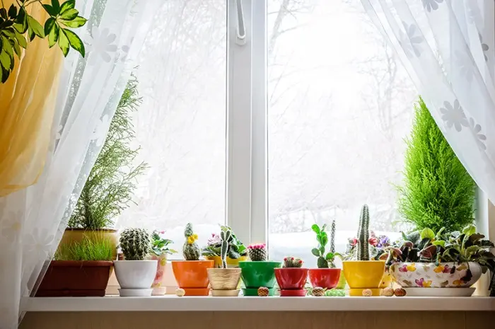 Impact Of Window In Home Decoration