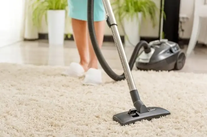 Reasons Why a Clean Carpet is Beneficial for your Home